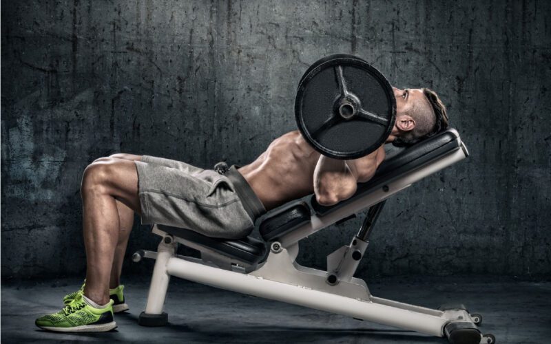 how many calories does bench press burn