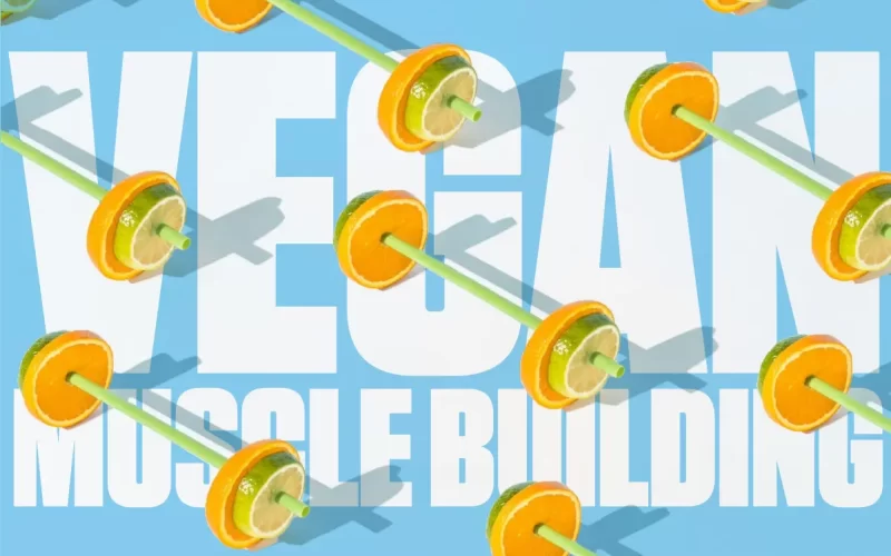 Vegan Muscle Building Diet Plan